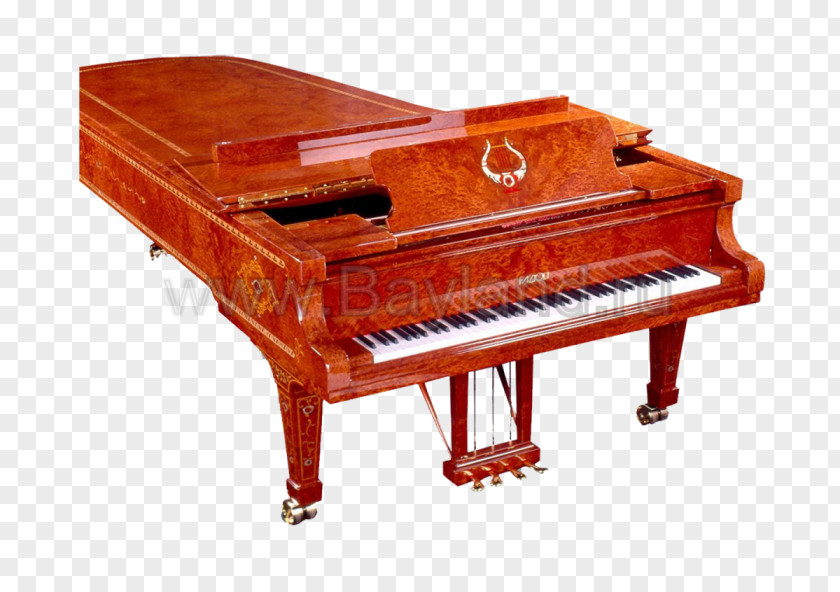 Piano Grand Fazioli Musical Keyboard PNG