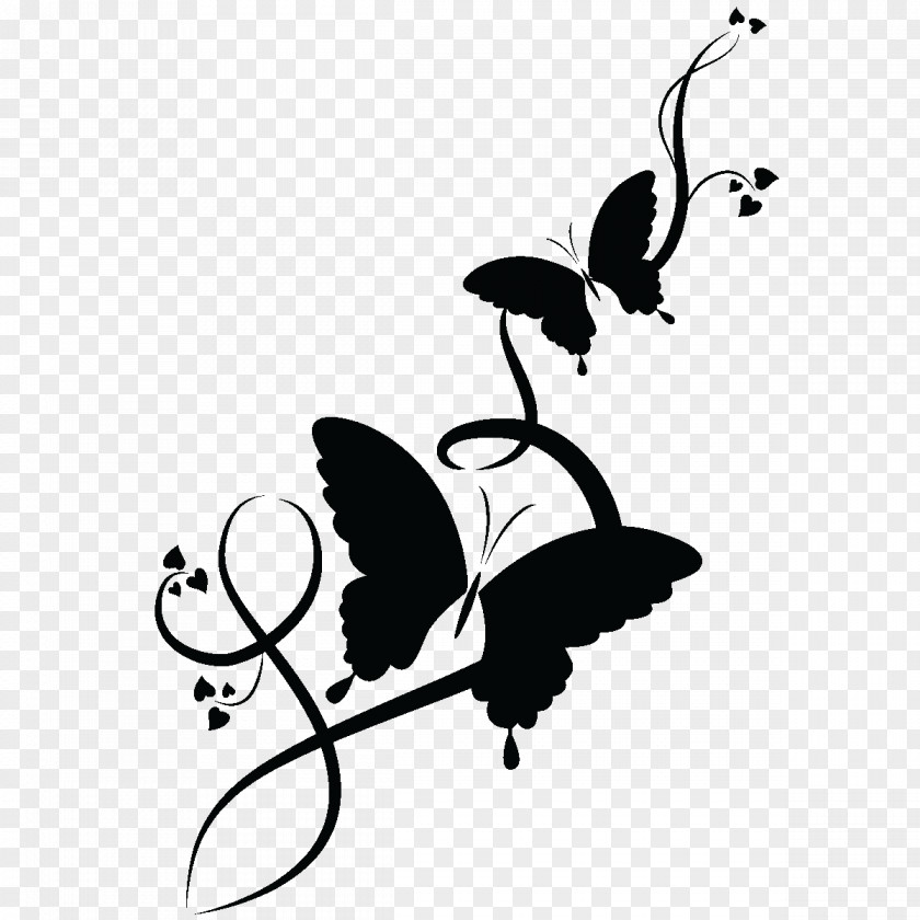Ramadan Sticker Butterfly Image Drawing PNG