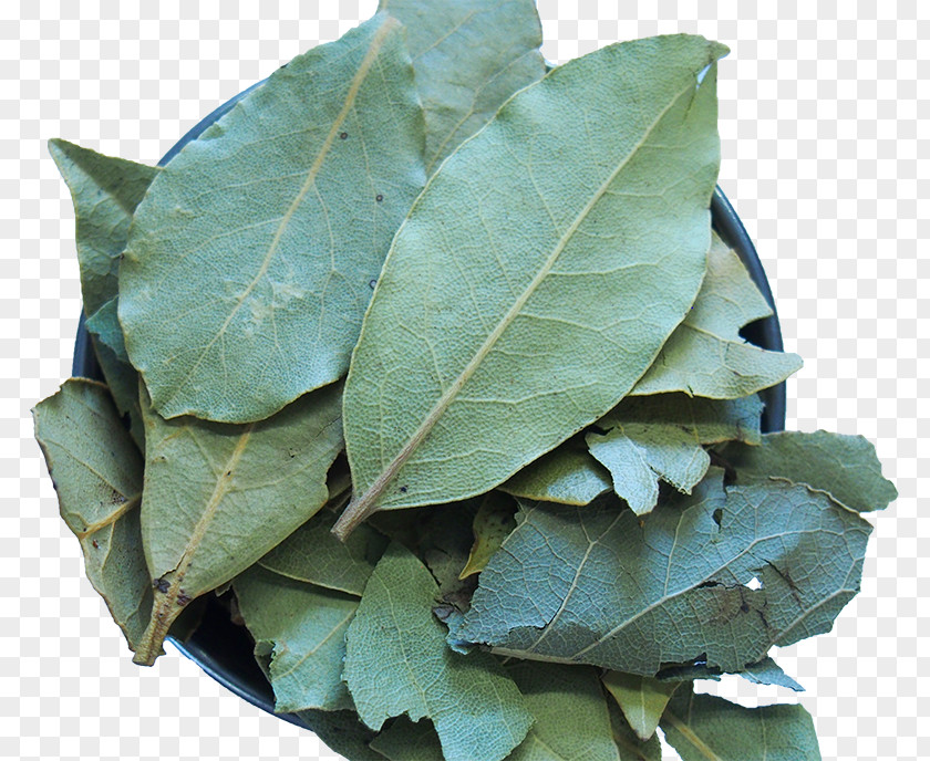 BAY LEAVES Mediterranean Cuisine Bay Leaf Herb Spice Laurel PNG