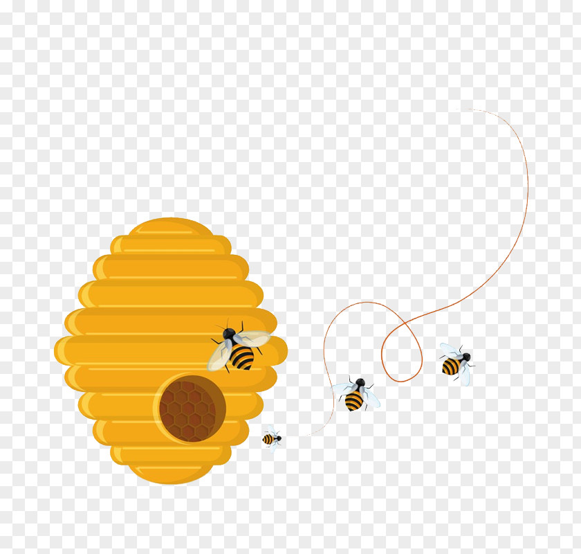 Bee Organic Food Honeycomb PNG