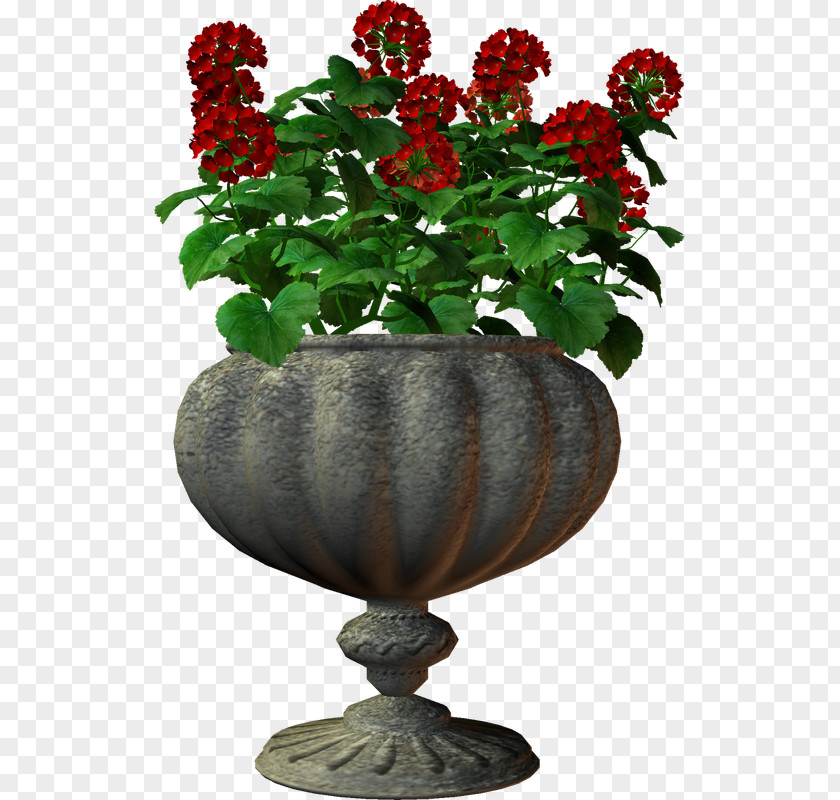 Flower Vase Houseplant Garden Roses PNG