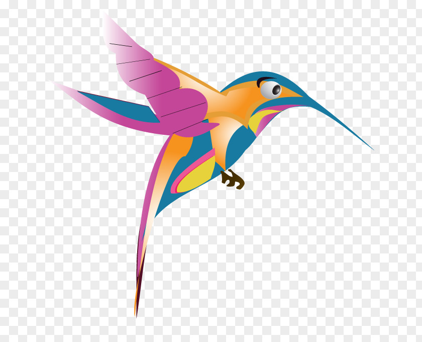 Hummingbird Google Images PNG