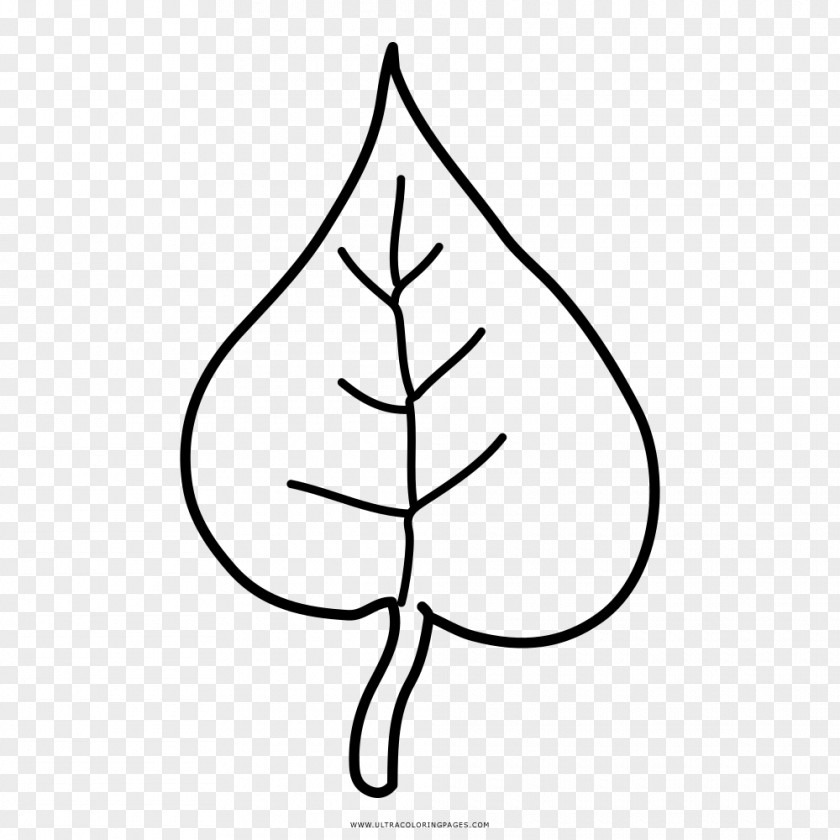 Leaf Drawing Coloring Book Watercolor Painting PNG