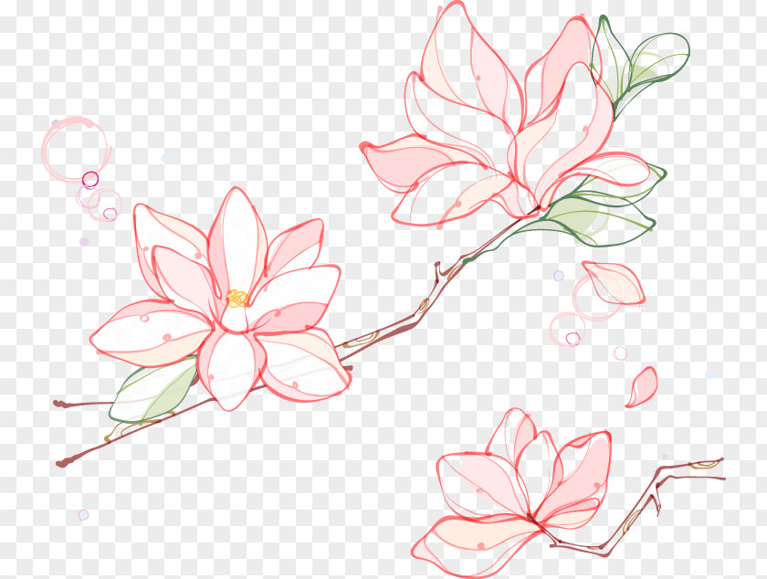 Magnolia Artwork Euclidean Vector Flower Southern PNG