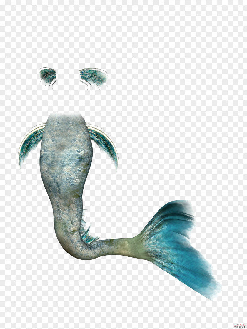 Mermaid Tail Rusalka Clip Art PNG