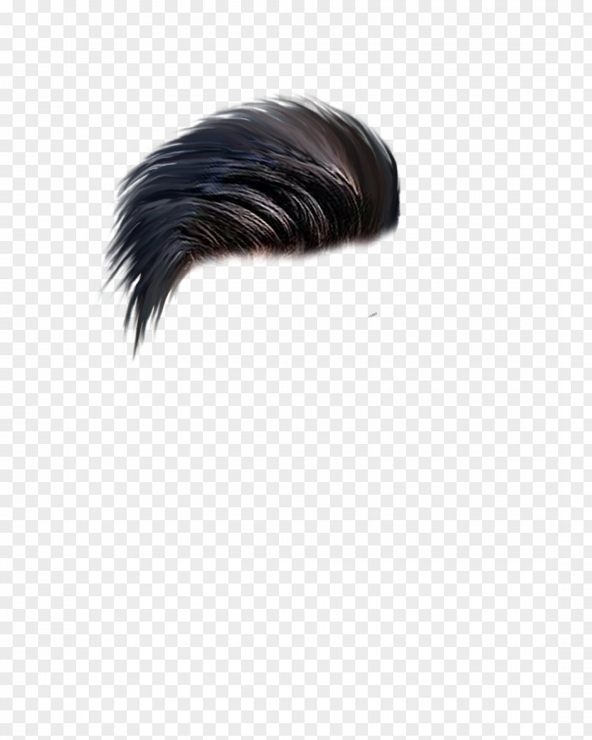 Zipper Hairstyle Download PNG