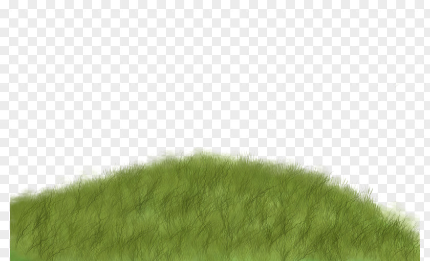 Creative Green Grass Lawn Grasses Tree Pattern PNG