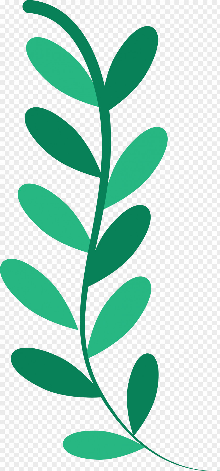 Leaf Plant Stem Blog Line Art Watercolor Painting PNG
