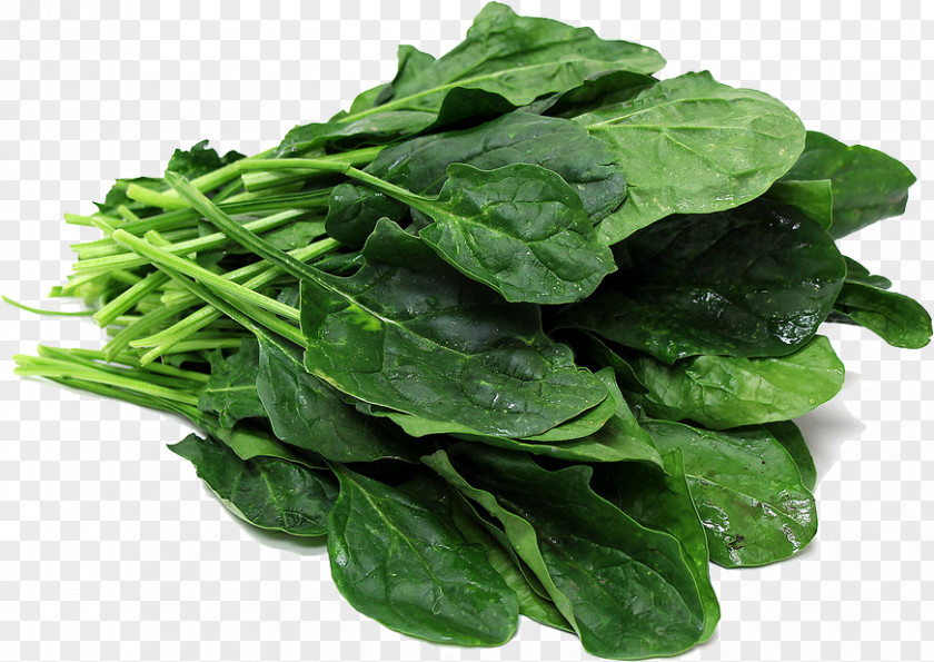 Vegetable Spinach Komatsuna PNG