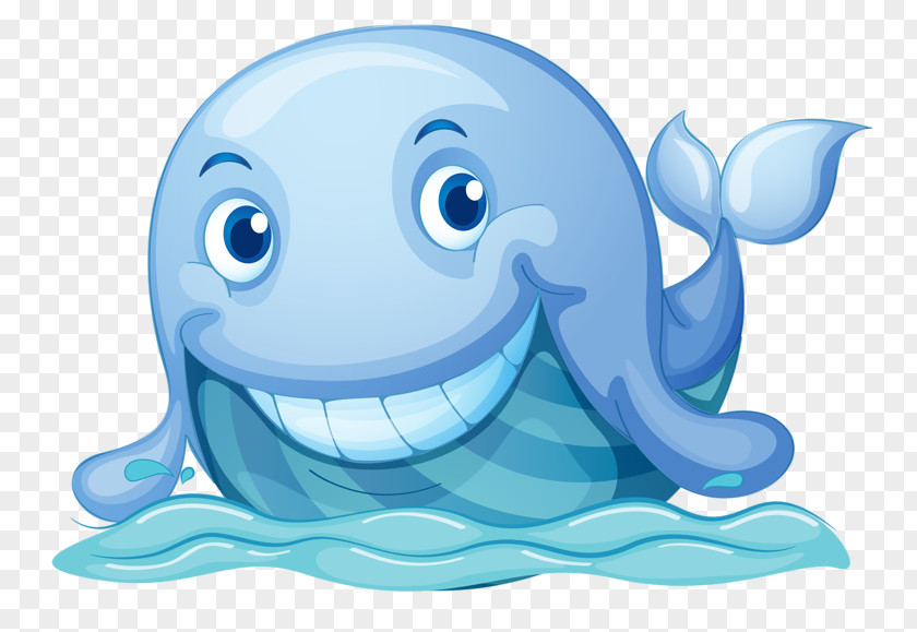 Blue Whale Royalty-free Stock Photography Illustration PNG