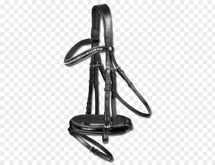 Bridle Noseband Rein Equestrian Cob PNG