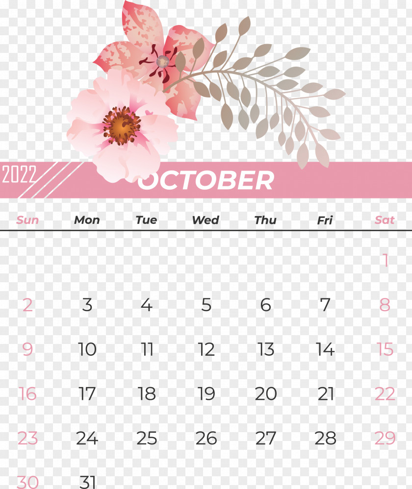 Calendar Flower Font Petal Pink M PNG