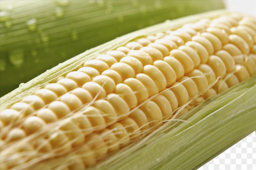 Corn On The Cob Maize Crop PNG