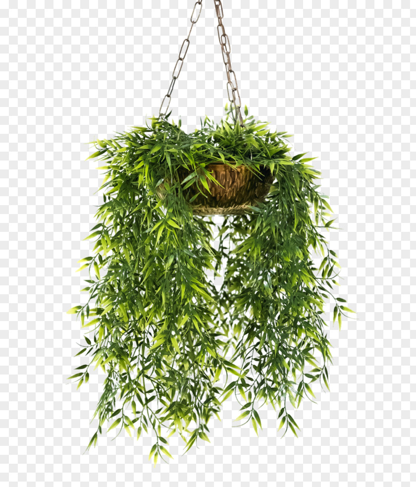 Flower Pot Flowerpot Houseplant Hanging Basket PNG