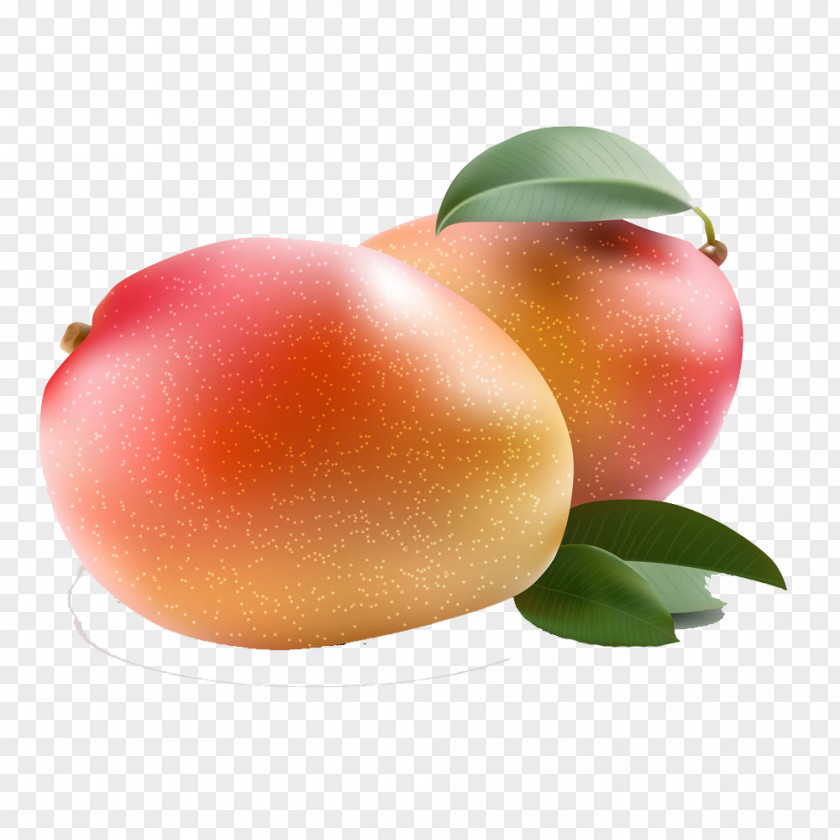 HD Mango Pattern Juice Royalty-free Stock Photography PNG