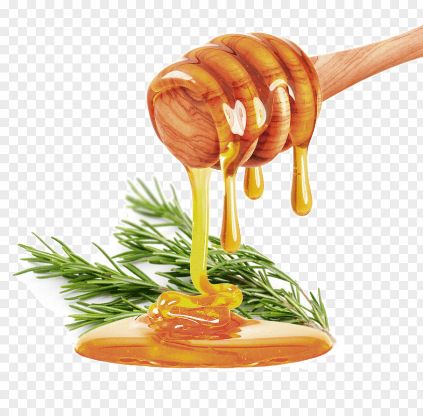 Honey Stock Photography Royalty-free Syrup PNG