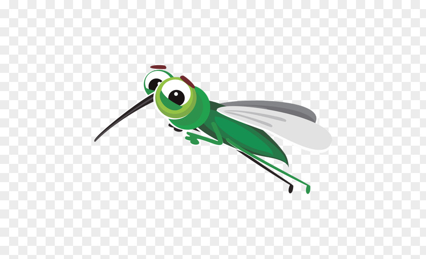 Mosquito Insect Animation PNG