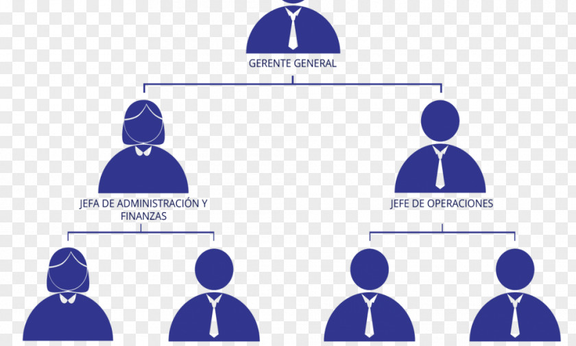 Business Organizational Chart Empresa Structure PNG
