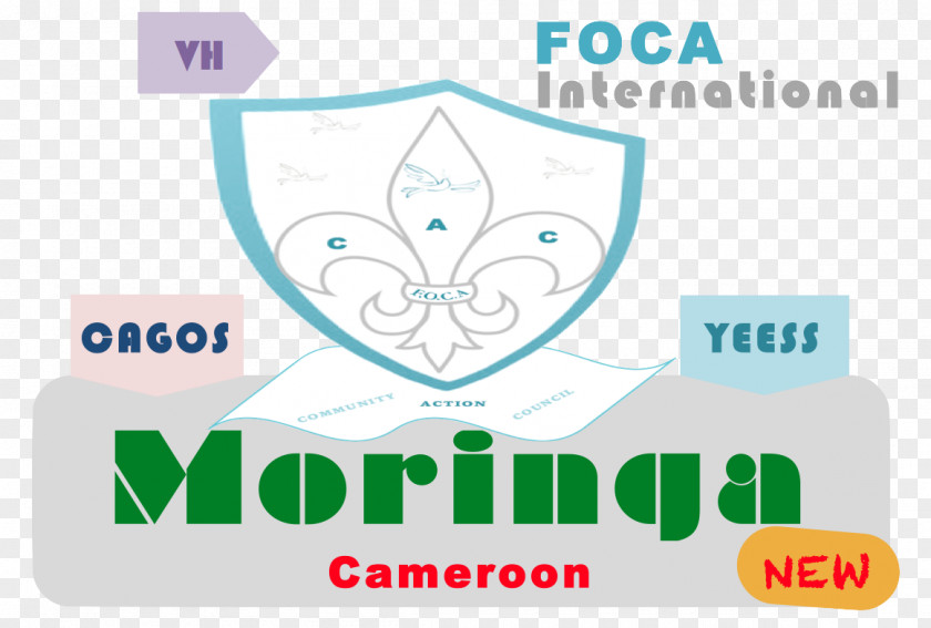Foca Retail Drumstick Tree Logo Shopping PNG