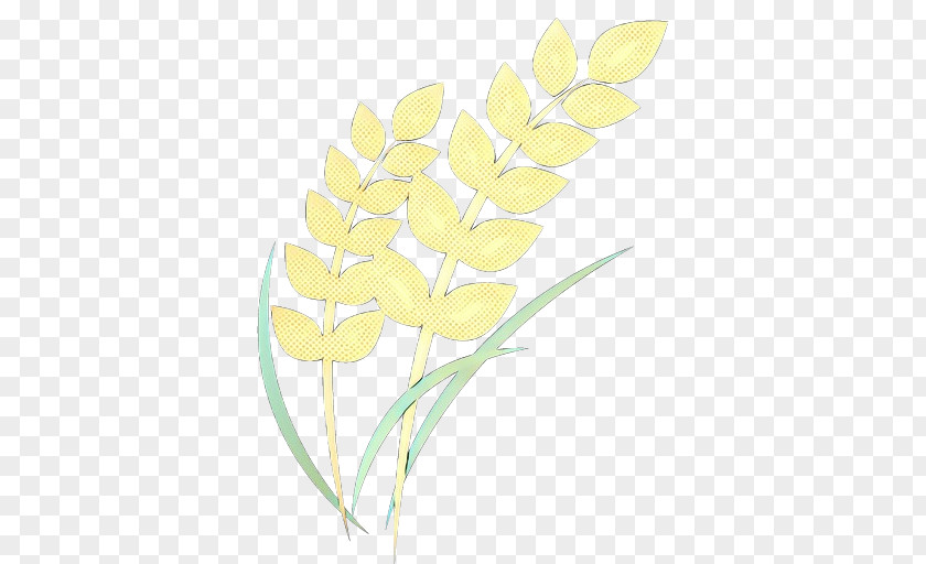 Freesia Petal Yellow Flower Plant Pedicel Cut Flowers PNG