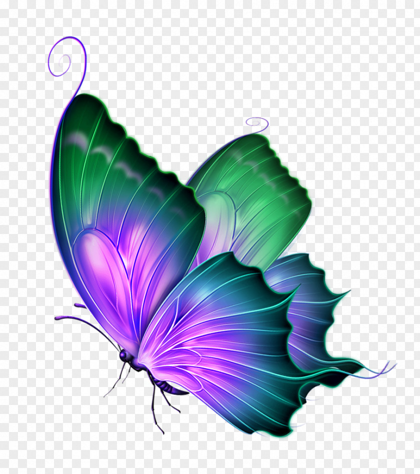 Green Dream Butterfly Decorative Patterns Clip Art PNG