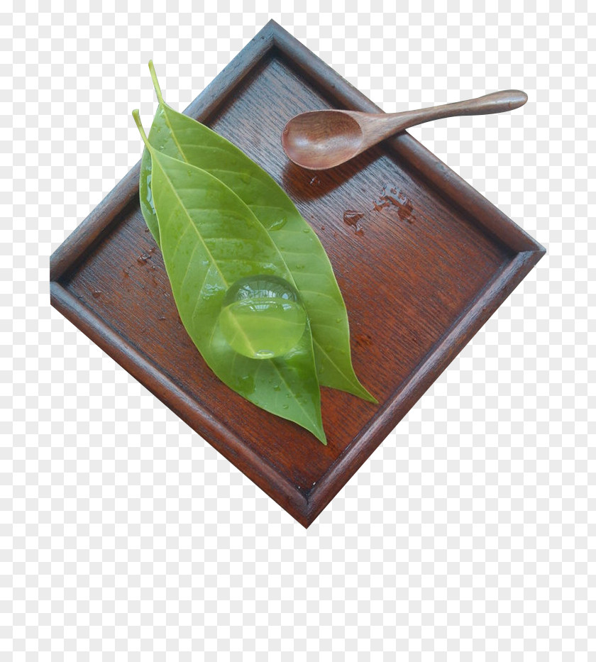 Green Leaves Transparent Water Shingen Cake Mochi Nian Gao Raindrop PNG