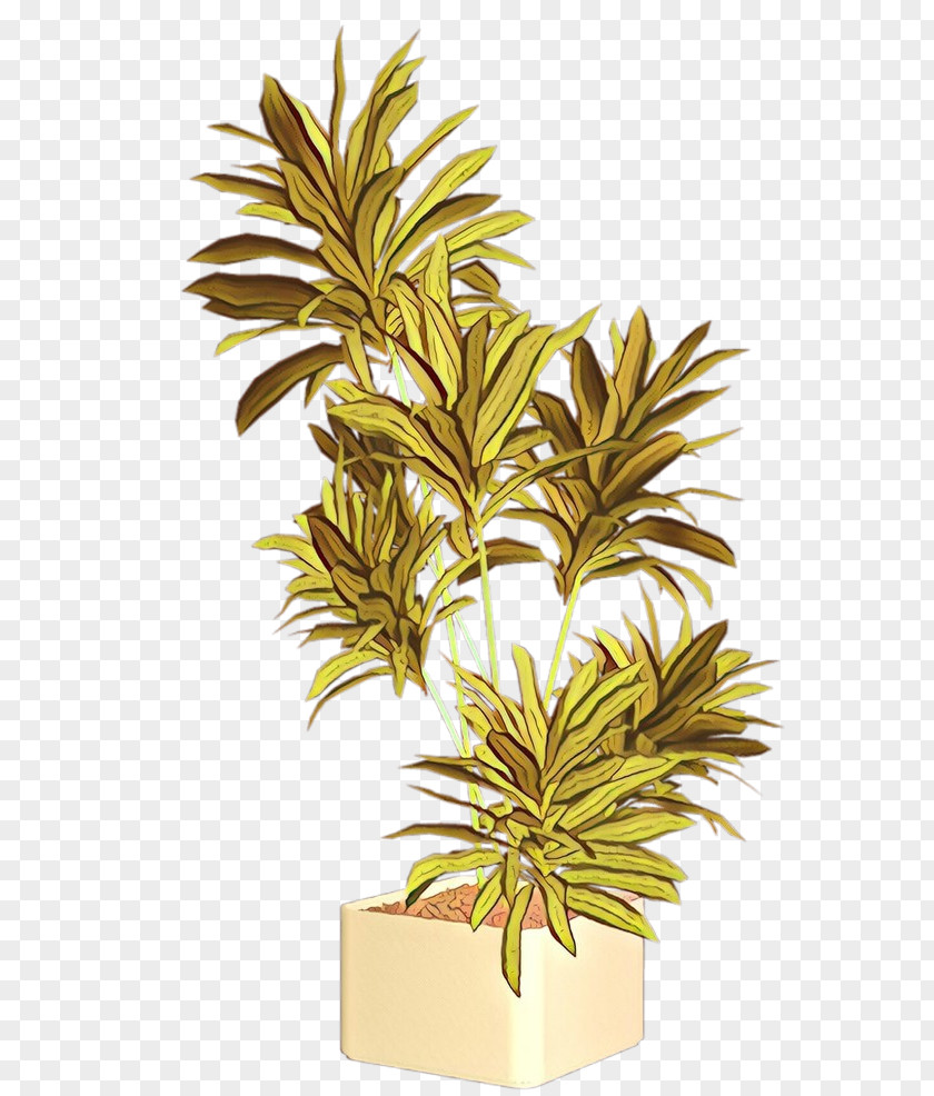 Herb Ananas Palm Tree Drawing PNG