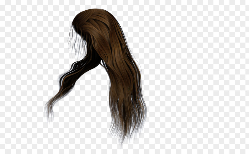 Long Hair Hairstyle Brown Wig PNG