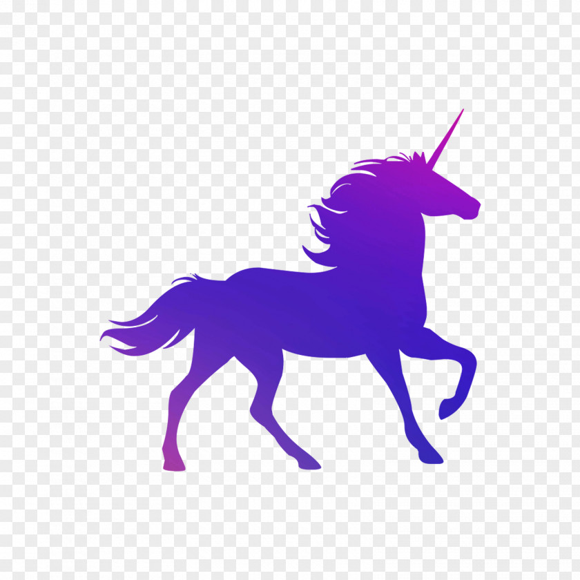 Mustang Clip Art Pony Vector Graphics Illustration PNG