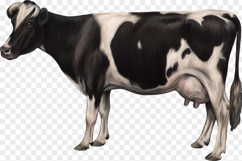 Cows Cattle Ox Cow Clip Art PNG