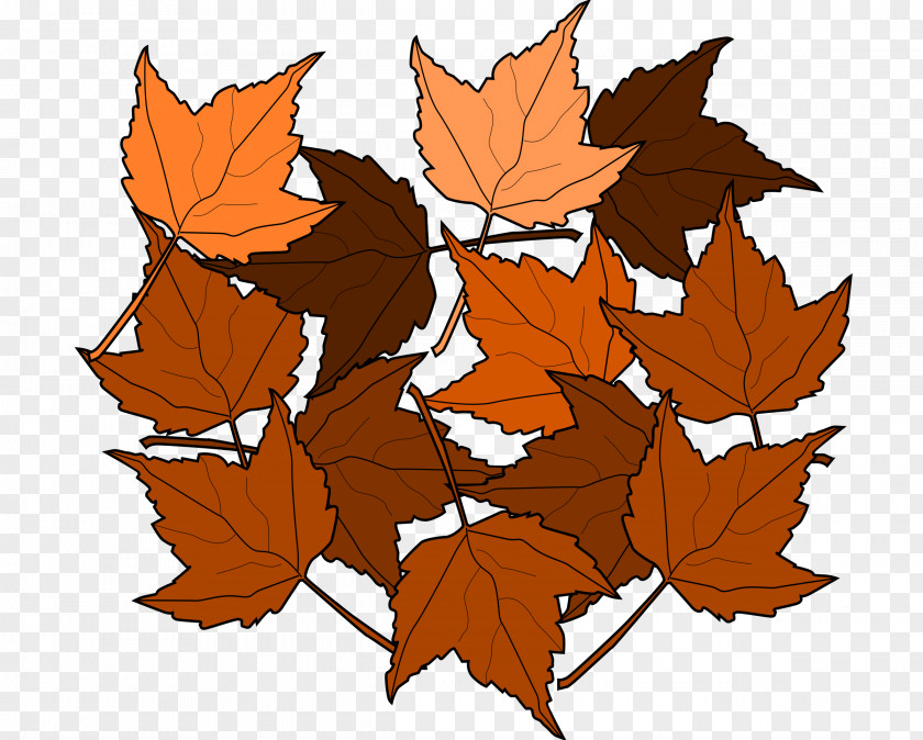 Dead Leaves Autumn Leaf Color Clip Art PNG