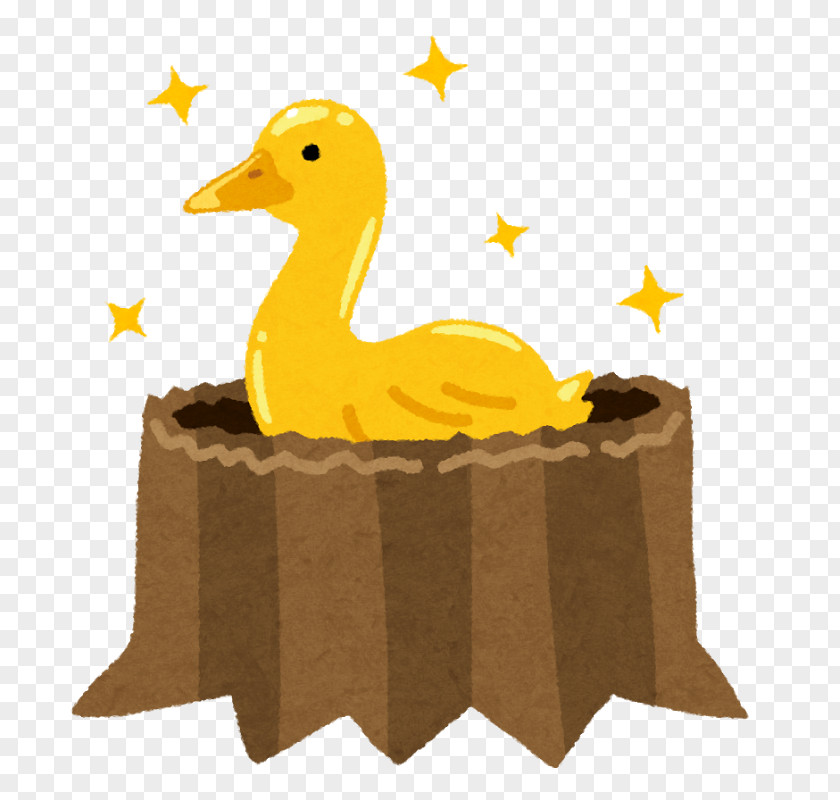 Duck Domestic Goose The Golden Poultry PNG