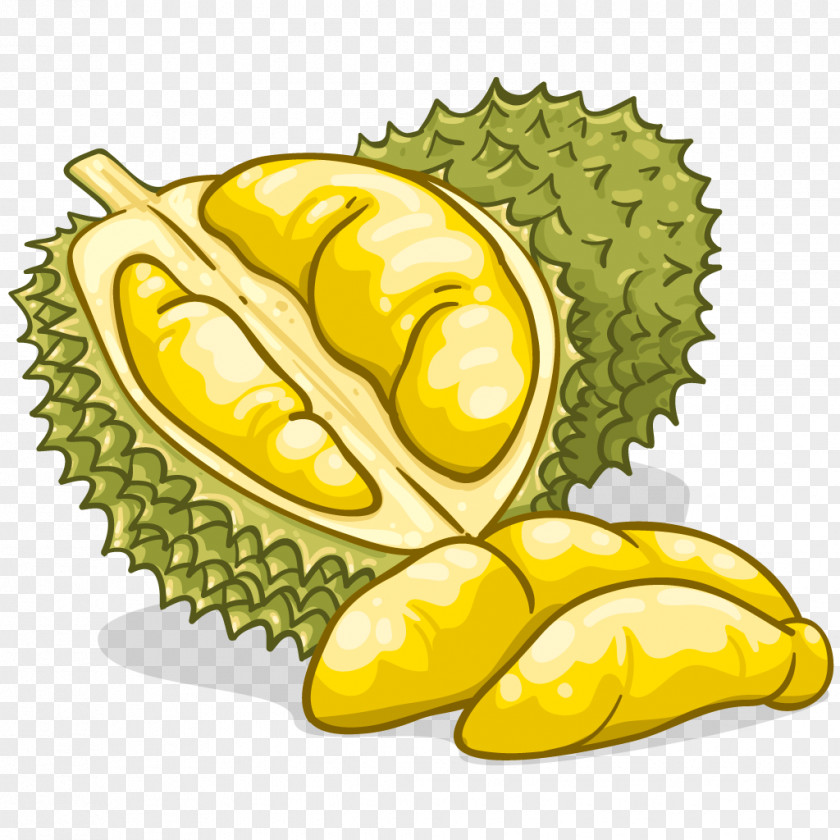 Durian Food Flavor Fruit Clip Art PNG