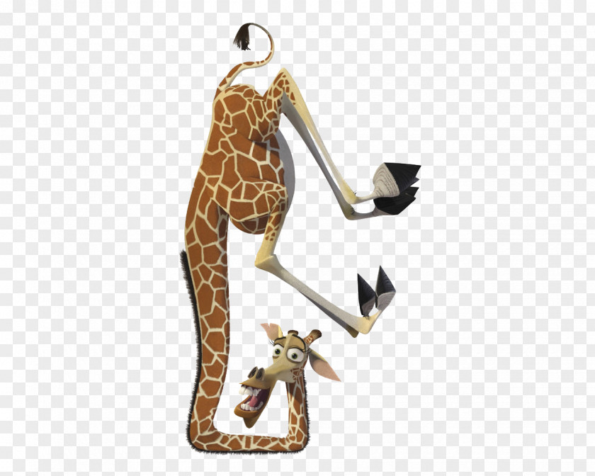 Giraffe Cartoon Inverted Melman Gloria Alex Marty Madagascar PNG