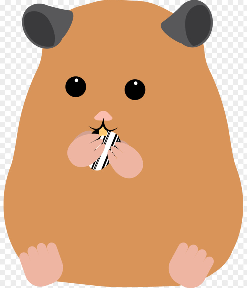 Hamster Mouse Rodent Rat Mammal PNG
