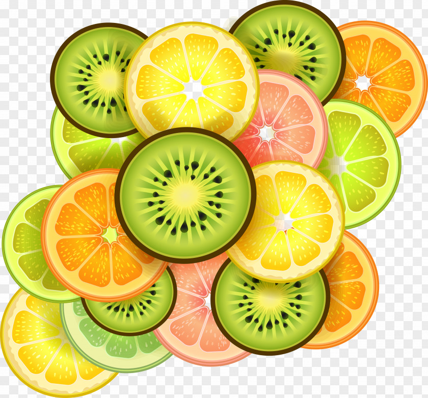 Kiwi And Orange Grapefruit Other Cartoon Vector Material Fruit Slice PNG