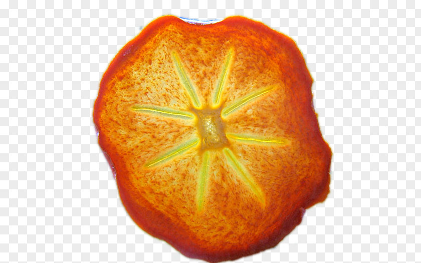 Persimmon Tangerine Mandarin Orange Clementine Tangelo Rangpur PNG