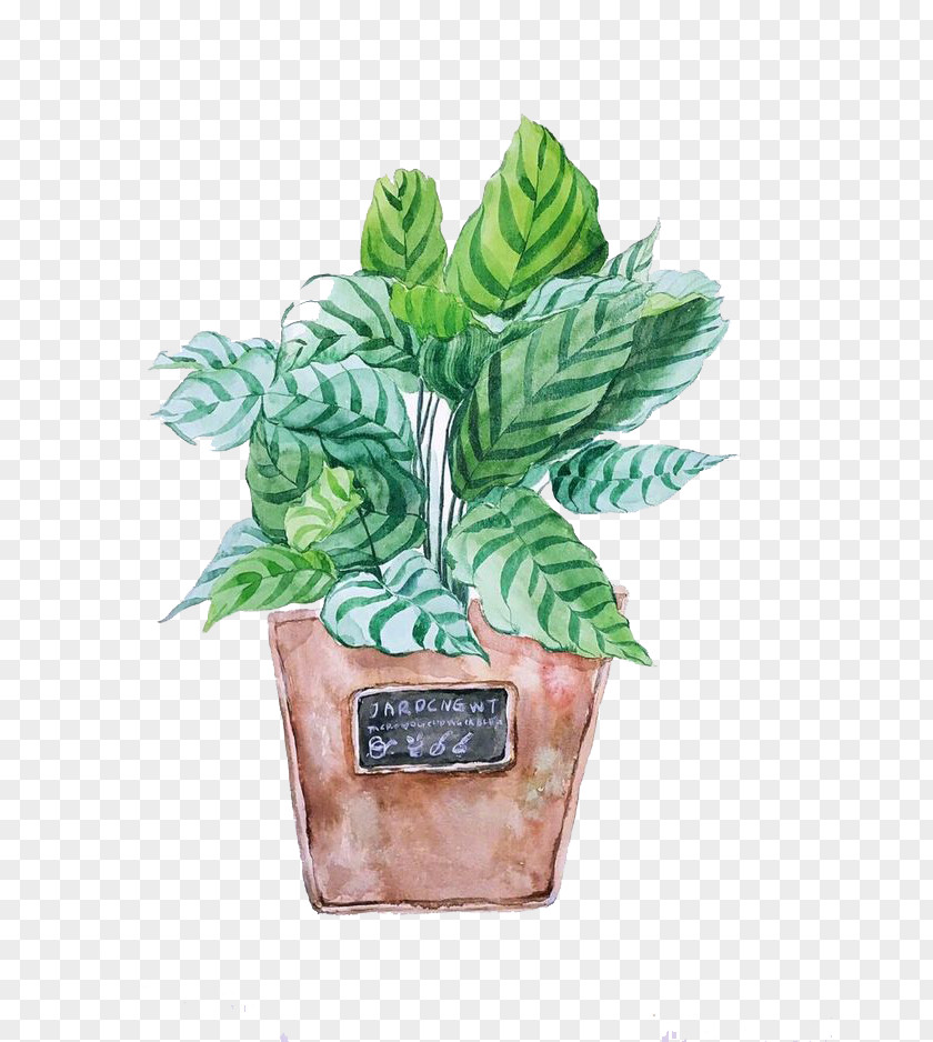 Watercolor Plants Painting Clip Art PNG