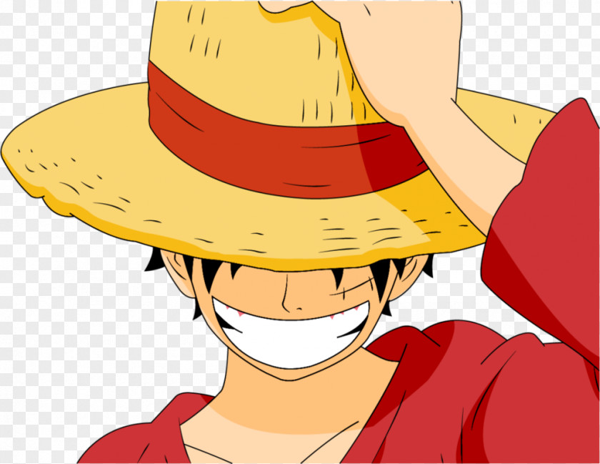 One Piece Roronoa Zoro Sohu Cowboy Hat Character PNG