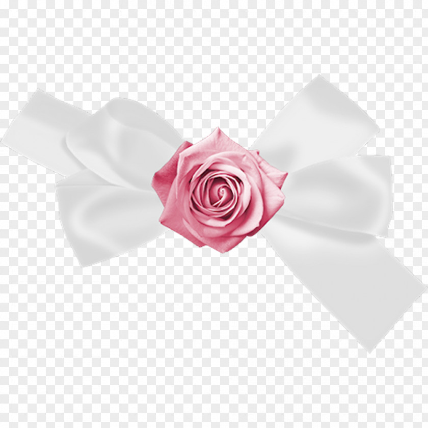 White Bow Butterfly Garden Roses Shoelace Knot PNG