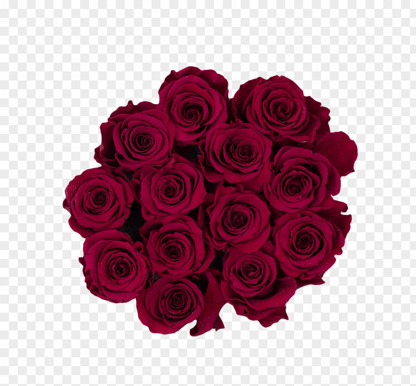 Burgandy Garden Roses Red Burgundy Pink Flower PNG