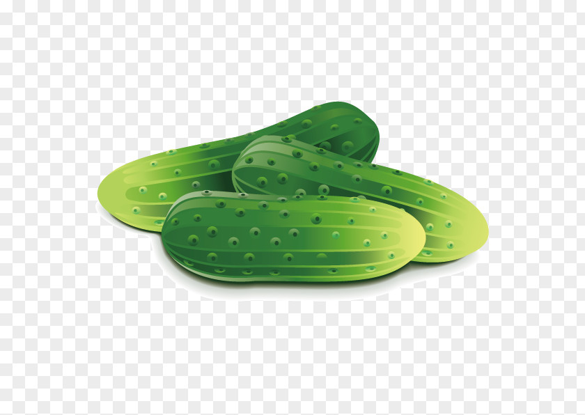 Cucumber Vector Image Vegetable Fruit Tomato PNG