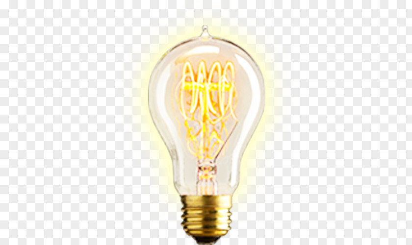 Light Technical Support Incandescent Bulb Help Desk Customer Service PNG