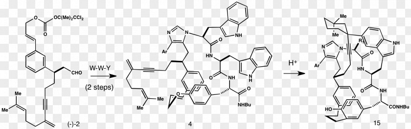Logic Synthesis Estrogen Receptor Beta /m/02csf Chemical Compound Benzopyran PNG