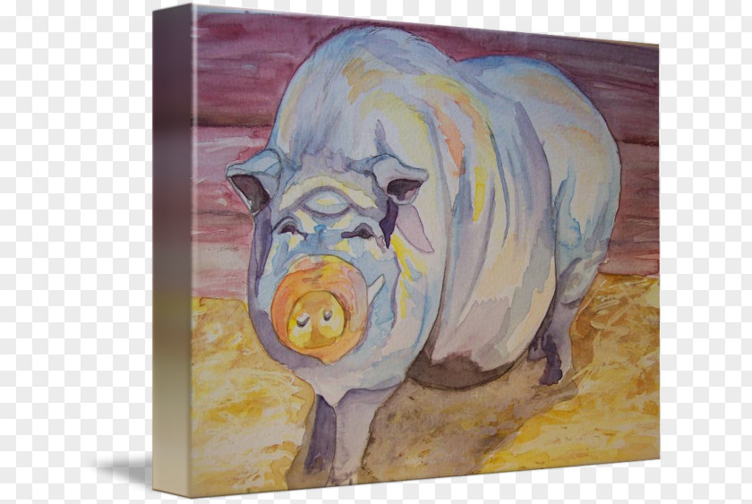 Pig Watercolor Painting Snout PNG