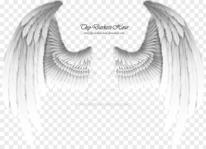 White Wings Angel Wing PNG