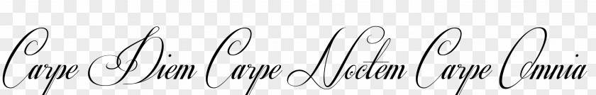 Carpe Diem Line Angle Font PNG