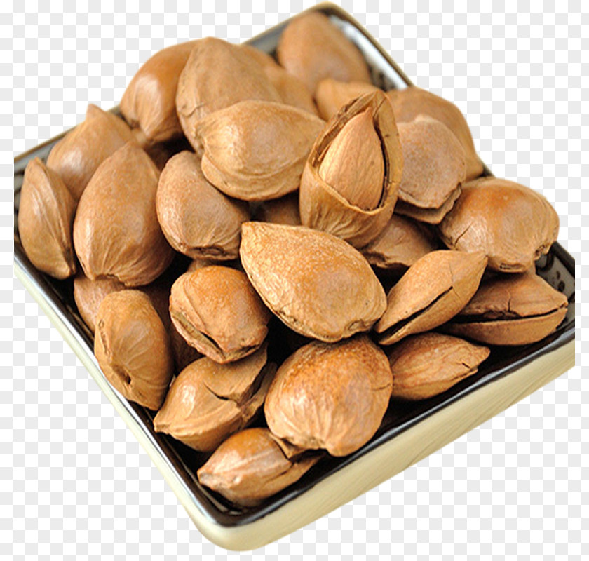 Creamy Almond Nut Apricot Kernel PNG