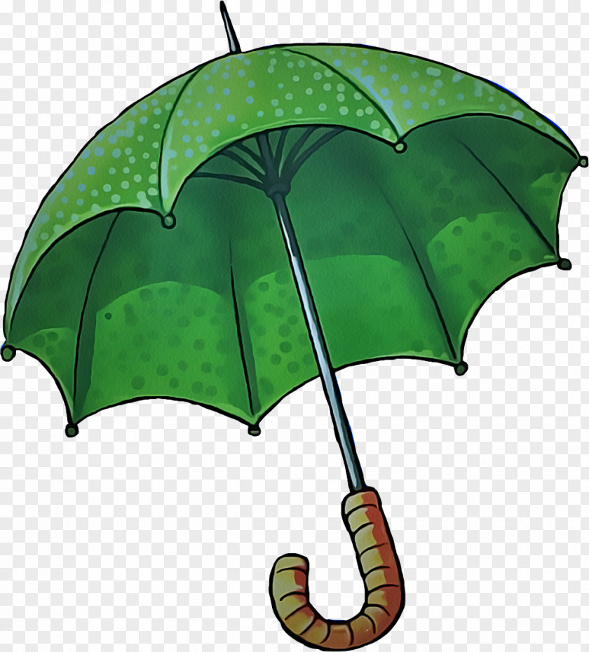 Fashion Accessory Tree Green Leaf Umbrella Plant PNG