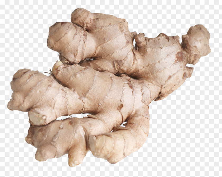 Ginger Herb Cure Health PNG